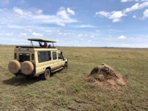 Tanzania wildlife safari vehicle