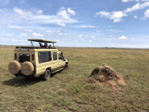 safari land cruiser for sale tanzania