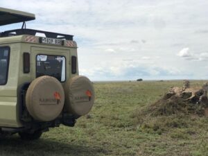 Delightful Safari in Tanzania