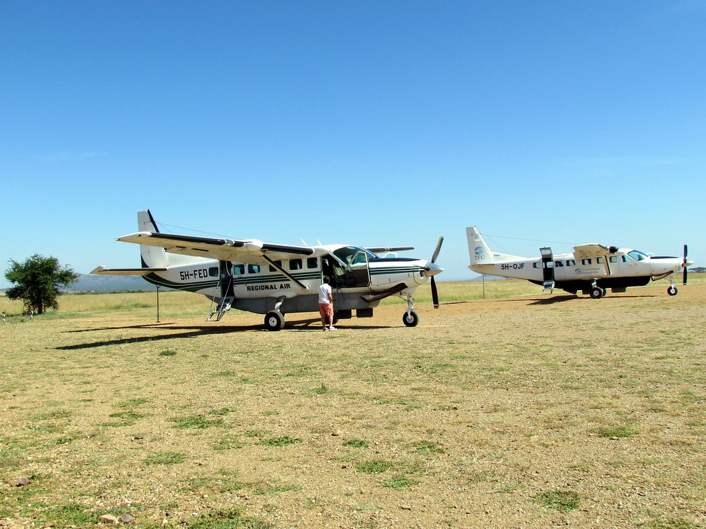 tanzania luxury safari fly in safari in tanzania national park serengeti seronera