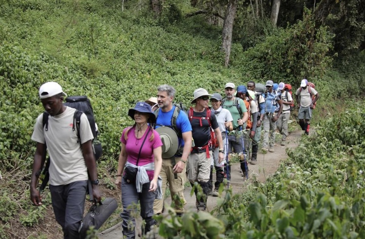 Altitude Sickness on Mount Kilimanjaro