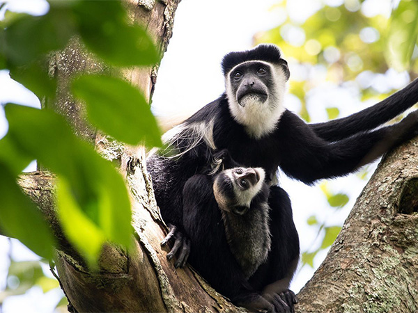 Arusha National Park