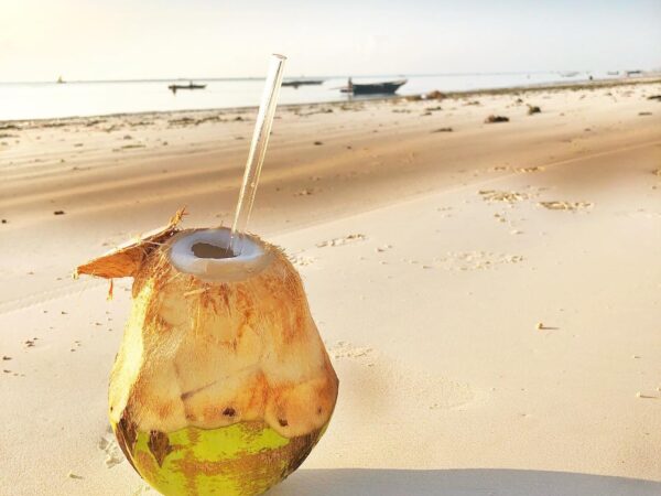 3 Days  Zanzibar & Pemba Island Tour