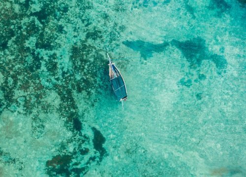 Wild to Waves Adventure